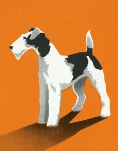 Wire Fox Terrier Print - Captivating Art Illustrations