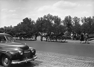 Car riding on street along park, horse carriages on other side, (B&W) Car riding on street along park, horse carriages on other side, (B&W)