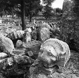A carved lions head amongst the ruins of the bouleuterion or council chamber at Olympia A carved lions head amongst the ruins of the bouleuterion or council chamber at Olympia