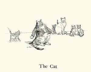 The Cat, from the Nursery Rhyme, Hey Diddle Diddle The Cat, from the Nursery Rhyme, Hey Diddle Diddle