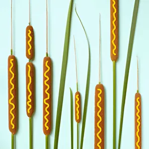 Cattails decorated with mustard to look like corn dogs Cattails decorated with mustard to look like corn dogs