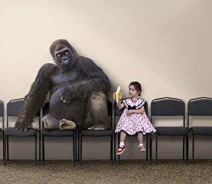 Caucasian girl offering banana to gorilla Caucasian girl offering banana to gorilla