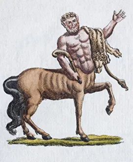 Centaur, hand - colored copper engraving from Friedrich Justin Bertuch Picture book for Centaur, hand - colored copper engraving from Friedrich Justin Bertuch Picture book for