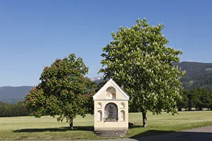 Chapel and flowering chestnut trees, horse chestnut -Aesculus hippocastanum-, Prankh Chapel and flowering chestnut trees, horse chestnut -Aesculus hippocastanum-, Prankh