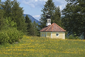 Chapel Maria Rast auf den Buckelwiesen, with a flowering spring meadow, Krun, Bavaria Chapel Maria Rast auf den Buckelwiesen, with a flowering spring meadow, Krun, Bavaria