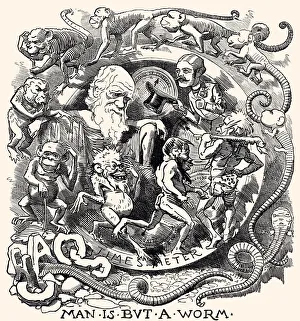CHARLES DARWIN: THEORY OF EVOLUTION (XXXL) CHARLES DARWIN: THEORY OF EVOLUTION (XXXL)