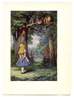 Cheshire Cat on tree illustration, (Alices Adventures in Wonderland) Cheshire Cat on tree illustration, (Alices Adventures in Wonderland)