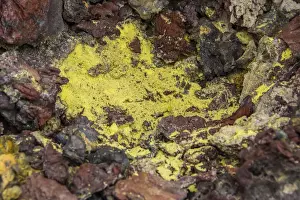 Isabela Island Ecuador Prints: Chico Vulcano