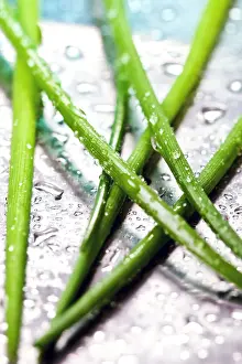 Fresh Herb Photography Prints: Chives