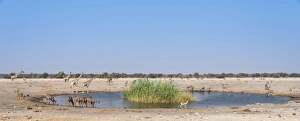 Chudob waterhole, Etosha National Park, Namibia Chudob waterhole, Etosha National Park, Namibia