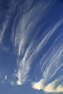 Cloud Formation Pictures Prints: Cirrus clouds