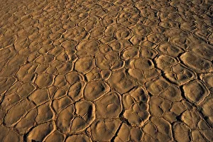 Close up Texture of the Cracked Clay Surface of Deadvlei at Sunset Close up Texture of the Cracked Clay Surface of Deadvlei at Sunset