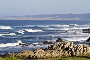 coast, coastline, color image, colour image, copy space, day, eastern cape, family coast, coastline, color image, colour image, copy space, day, eastern cape, family