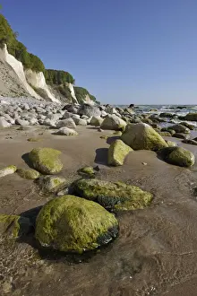 Steep Cliff Line Photography Prints: Coastal cliffs, shingle beach and chalk cliffs