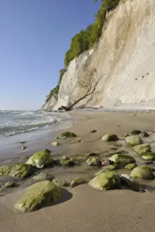 Baltic Sea Nature Reserve Prints: Coastal cliffs, shingle beach and chalk cliffs