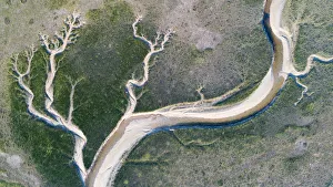 Coastal wetland environment on Schiermonnikoog island, with tidal channels, seen Coastal wetland environment on Schiermonnikoog island, with tidal channels, seen