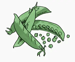 Mange Tout Prints