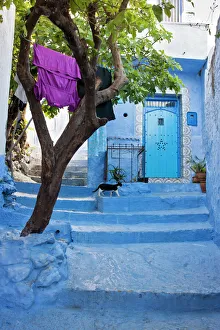 The colourful town of Chefchaoeun, Morocco The colourful town of Chefchaoeun, Morocco