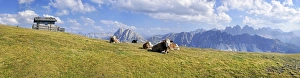 Cows, Aferer Alm alp on Plosen mountain, view of Aferer Geisler Massif Cows, Aferer Alm alp on Plosen mountain, view of Aferer Geisler Massif