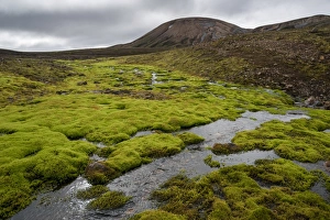 Creek surrounded by moss, rhyolite mountains, Landmannalaugar, Fjallabak Nature Reserve Creek surrounded by moss, rhyolite mountains, Landmannalaugar, Fjallabak Nature Reserve