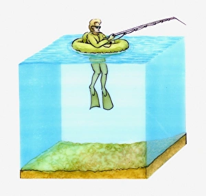 Cross section illustration of freshwater fisherman in float tube wearing flippers for Cross section illustration of freshwater fisherman in float tube wearing flippers for