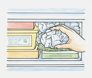 Crumpled newspaper in plastic bags being placed into empty spaces in a freezer to Crumpled newspaper in plastic bags being placed into empty spaces in a freezer to