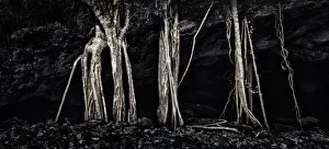 Dark Indian cave entrance on middle Caicos Dark Indian cave entrance on middle Caicos