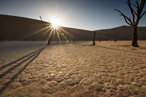 Deadvlei Landscape in Namibia at Sunrise, Namib-Naukluft National Park, Namibia Deadvlei Landscape in Namibia at Sunrise, Namib-Naukluft National Park, Namibia