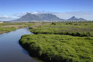 The Diep River Flowing Towards Milnerton Lagoon The Diep River Flowing Towards Milnerton Lagoon