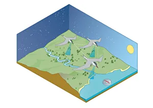 Digital illustration of migration navigation of birds including the sun, stars, coastlines, EarthAi¿oes Digital illustration of migration navigation of birds including the sun, stars, coastlines, EarthAi¿oes