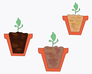 Digital illustration of three types of potting soil and compost in cross section of plant Digital illustration of three types of potting soil and compost in cross section of plant