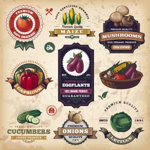 Vintage Style Illustrations Prints: Assorted Vegetable Labels