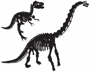 White Background Silhouette Prints: Dinosaur Bones (Vector)