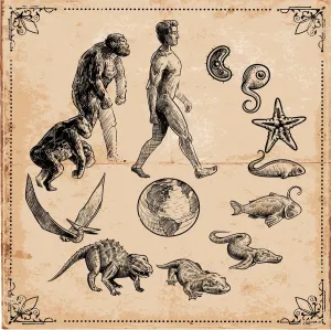 Evolution of Life on Earth Print: A Scientific Illustration