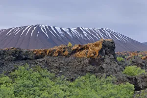 Dimmuborgir lava formations, Hverfjall ash crater, Skutustaoir, Northeastern Region Dimmuborgir lava formations, Hverfjall ash crater, Skutustaoir, Northeastern Region