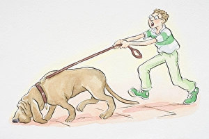 Dog on leash sniffing the ground and pulling forward the man walking it Dog on leash sniffing the ground and pulling forward the man walking it