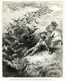 Don Quixote, An infinite number of overgrown crows Don Quixote, An infinite number of overgrown crows