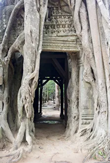 Doorway engulfed in tree roots at ruined Ta Prohm Doorway engulfed in tree roots at ruined Ta Prohm