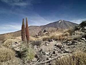 El Teide National Park Prints: Dormant volcano
