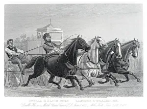 Double Harness racing horse competition 1857 Double Harness racing horse competition 1857