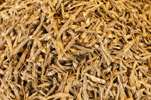 Dried Sardines or Pilchards -Sardina pilchardus- Dried Sardines or Pilchards -Sardina pilchardus-