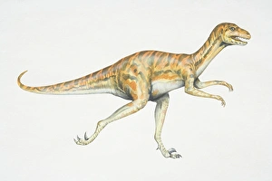 Dromaeosaurus, red and black striped dinosaur with strong hind legs, side view Dromaeosaurus, red and black striped dinosaur with strong hind legs, side view