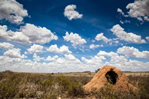 The dry and arid landscape in the Northern Cape is covered in anthills which have The dry and arid landscape in the Northern Cape is covered in anthills which have