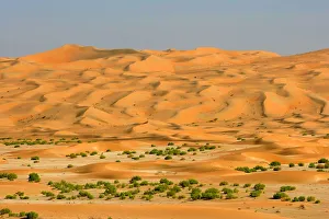 A Dry River Bed (Wadi) Through a Dune Field in the Desert A Dry River Bed (Wadi) Through a Dune Field in the Desert