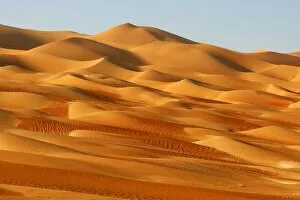 Images Dated 25th November 2005: A Dune Field in the Desert
