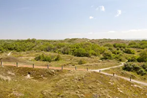 Dunes, Lower Saxon Wadden Sea National Park, Baltrum, East Frisian Islands, East Frisia Dunes, Lower Saxon Wadden Sea National Park, Baltrum, East Frisian Islands, East Frisia