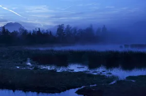 Dusk in the bog, alpine foothills, Grundbeckenmoor marsh, Nicklheim, Bavaria, Germany Dusk in the bog, alpine foothills, Grundbeckenmoor marsh, Nicklheim, Bavaria, Germany