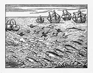 Dutch Navigators Encountering Flying Fish Illustration Dutch Navigators Encountering Flying Fish Illustration
