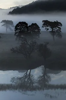 Early morning fog at Loch Arkaig, Fort William, Highlands, Scotland, United Kingdom Early morning fog at Loch Arkaig, Fort William, Highlands, Scotland, United Kingdom