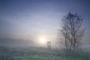 Early morning mist in the moorland in Floegeln, Lower Saxony, Germany, Europe Early morning mist in the moorland in Floegeln, Lower Saxony, Germany, Europe